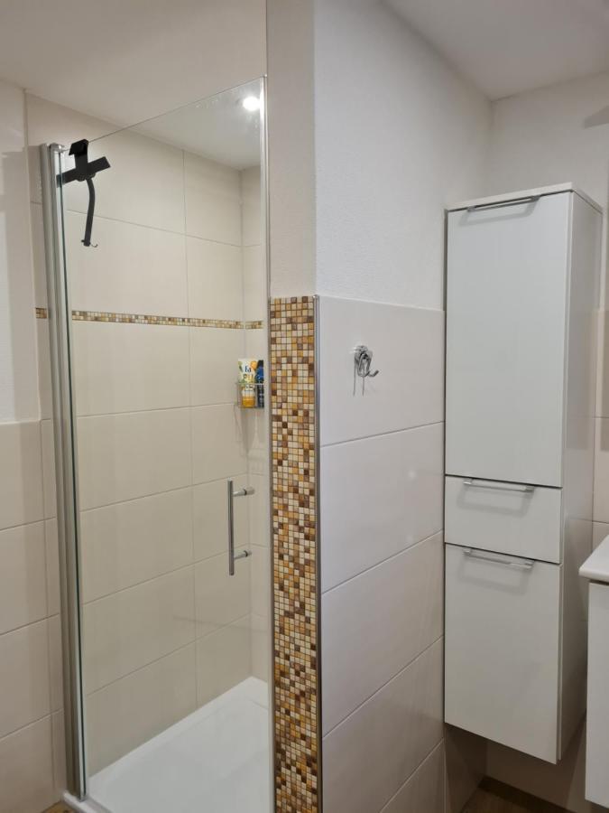 Апартаменты Haus Schneider Каппель-Графенхаузен Экстерьер фото